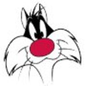 Meet your Posher, Gisele